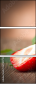 67189793