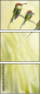 67324522