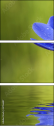 6756687
