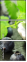 69394583