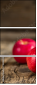 71848225