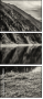 73210814
