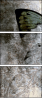 73878760
