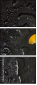 76101824