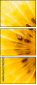 78671231