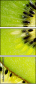 79048317