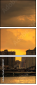 9051147