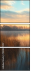 920067317