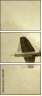 9485091
