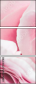 95247840