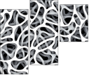 20505205