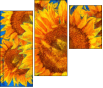 256376669