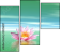29216817