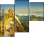 298439100