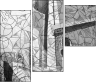 31753074