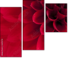 33891278
