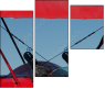35709647