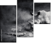 40411231