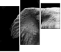 46583459