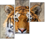 59798134