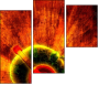 6550561