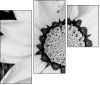 71181016