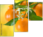 75734413