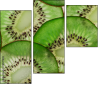 78577804