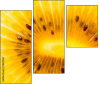 78671231