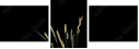 10925882