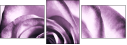 11865044