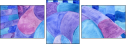 119684903