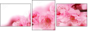 12025476