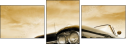 12138040