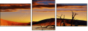 13063440