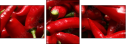 14895292