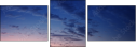 16069076
