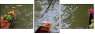 1612424