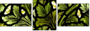 16903361
