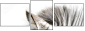 17246984