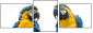 18738718