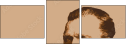 192017260
