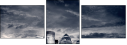 19592071