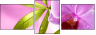 20055851