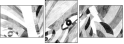 21369236