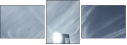 23194716