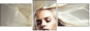 24254895