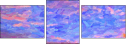 244702406