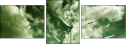24481115