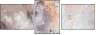 24599717